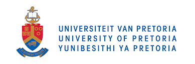 University of Pretoria Logo